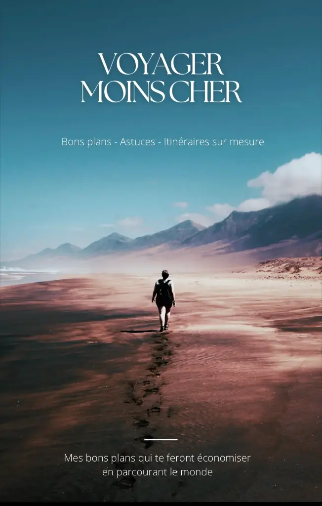 Voyager moins cher